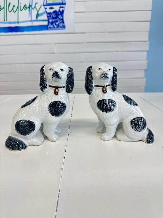 Black and White Staffie Pair